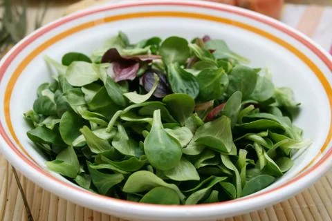 Feldsalat Stock Photos