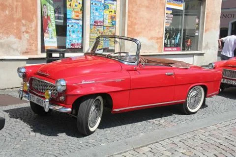 Felicia Stock Photos