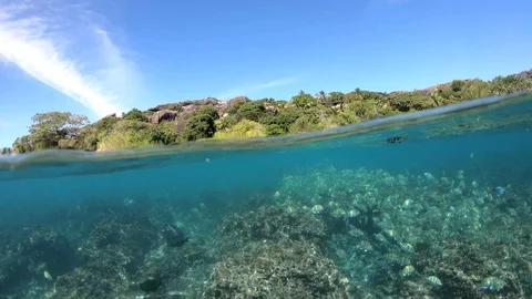 Felicite Island Seychelles split view 動画素材 109242992