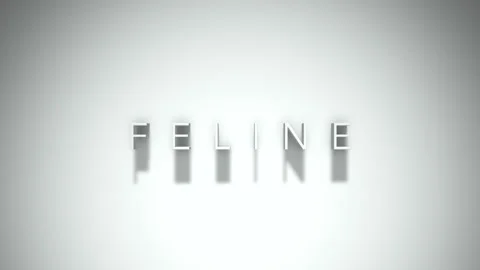 Feline 3D title animation with shadows on a white background Stock Footage 296003350