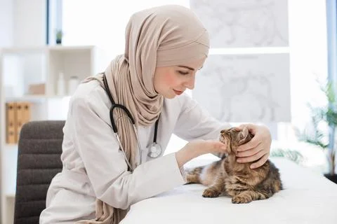 Feline practitioner inspecting cat's ears on vet check-up 스톡 사진