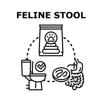 Feline stool analysis for pet healthy digestive system Stock Illustration