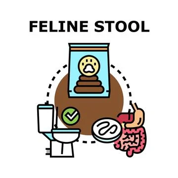 Feline stool analysis for pet healthy digestive system Stock Illustration