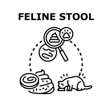 Feline stool sample analysis for pet health Illustrazione stock