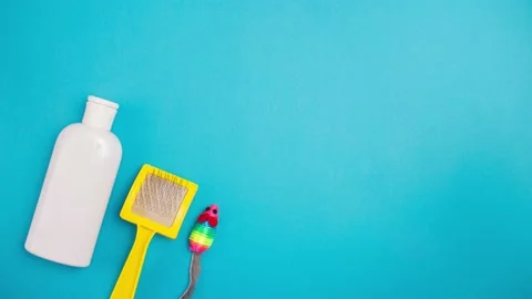 Feline stop motion animation set accessories for cat on blue background Stock Footage 147972137