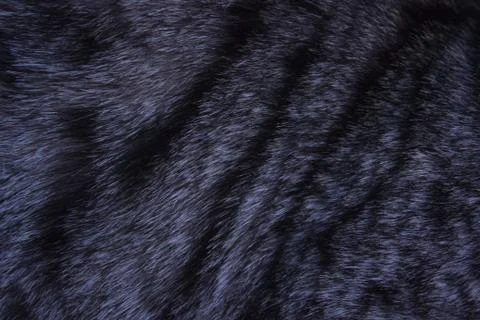 Feline striped wool Stock Photos