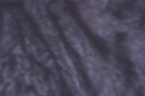 Feline striped wool Foto stock
