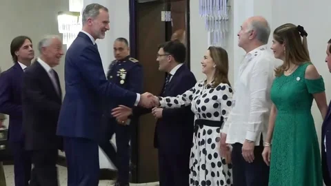 Felipe VI attends event of support for Ibero-American Disability Program, Santo  Stock Footage 236748644