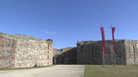 Felix romuliana enter Stock Footage 171273000