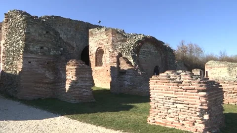 Felix romuliana Stock Footage 171272997