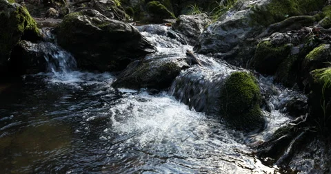 Félix Vélez Stock Footage 152644924