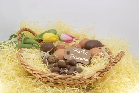 Feliz pascoa is Happy Easter written in Portuguese for Easter  arrival of spring Stock Photos