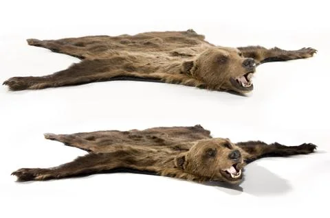 Fell of bear Stock Photos