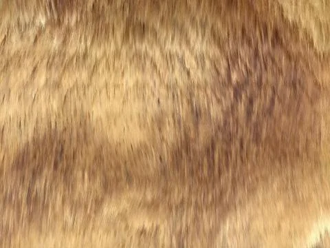 Fell: brown fox fur pattern or background Stock Photos