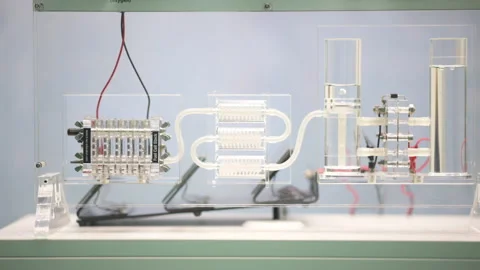 Fell cell system demonstrator with fuel cell stack, hydrogen tank and Video stock 214632216