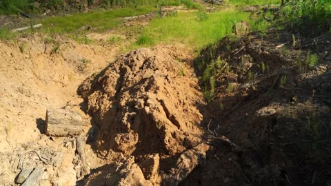 Felled forest with fallen and uprooted trees for agricultural needs. Stock Footage 160896706