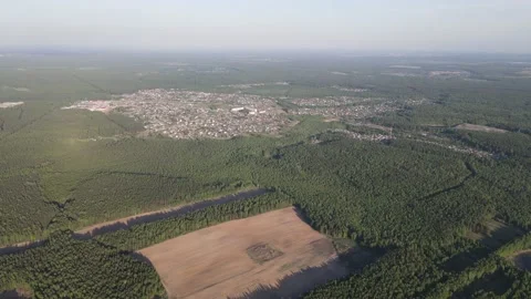 Felled forest Stock-Footage 154424380