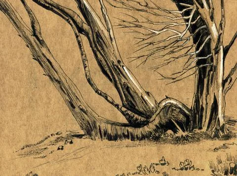 Felled old trees in the forest. Black and white illustration on yellow craft 스톡 일러스트