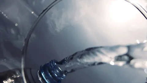 A felled tree in the middle of the forest. A tree trunk in the forest. Stock Footage 93918436