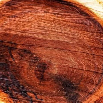 Felled tree Stock Photos