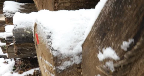 Felled tree trunks partly covered with snow Stockbeeldmateriaal 123329853