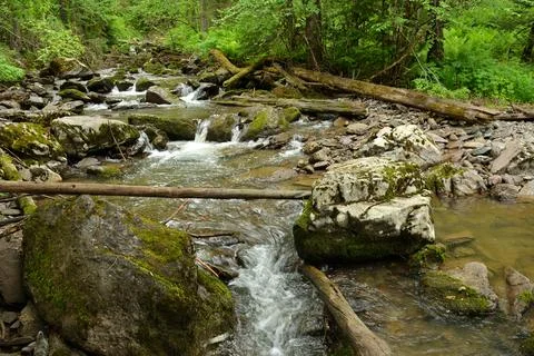 Felled tree trunks in a rocky bed of a stormy river flowing from the mounta.. Stock Photos