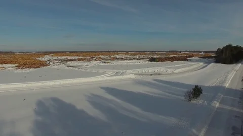 The felled trees lie under the open sky.  Stock Footage 104167247