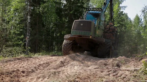 Feller Buncher  drives from the forest 스톡 동영상 59574351