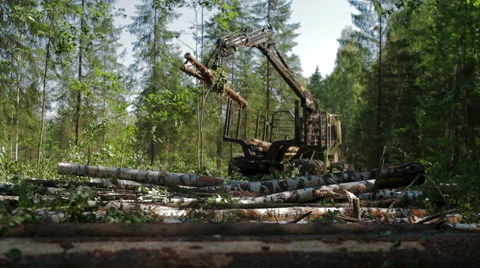 Feller Buncher drives through clearing in forest Vídeo Stock 59565943