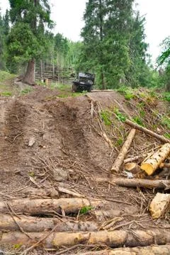 Felling Stock Photos