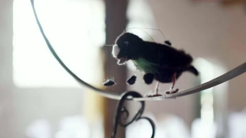 Felt bird. Stock Footage 239094301