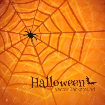 Felt pen drawing of spider web Stock Illustration