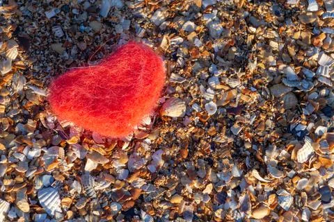 Felt red heart on a shell beach close-up 스톡 사진
