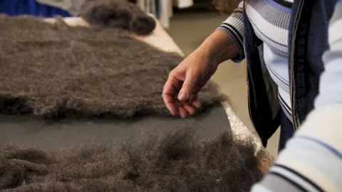 Felting wool cushions using a soap solution Stock Footage 279151575