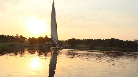 Felucca on the River Nile sailing at sunset Stock Footage 96384336