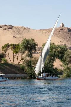 Feluccas Stock Photos