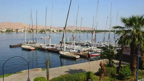 Feluccas on the River Nile in Luxor, Egypt Stock Footage