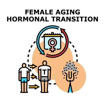 Female aging hormonal transition process changing human body Stock-Illustration