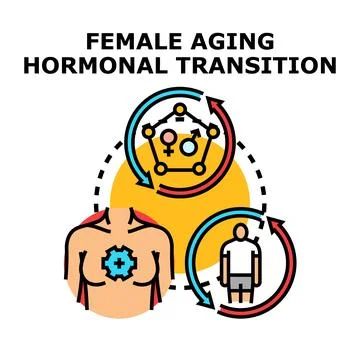 Female aging process and hormonal transition cycle Illustrazione stock