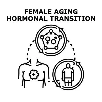 Female aging process and hormonal transition cycle Stock Illustration