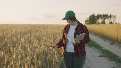 Female agronomist with a tablet checking spikelets while standing in a field Stock Footage 255157725