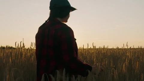 Female agronomist with a tablet checking spikelets while standing in a field Stock Footage 256837041