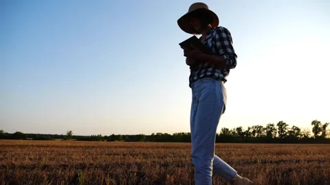 Female agronomist using digital tablet while goes among wheat meadow at sunset Stock Footage 274332938