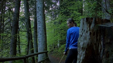 Female archer hunting in the forest Stock-Footage 80487352