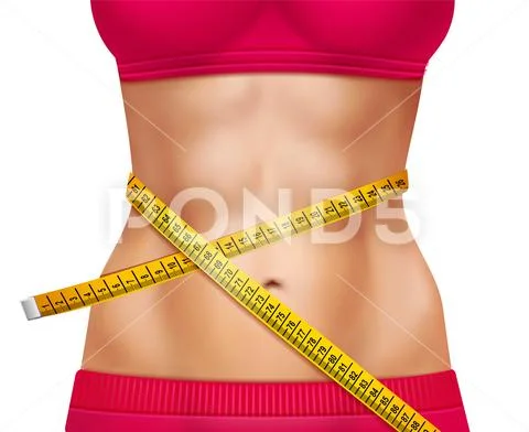 Female Athletic Waistline 3D Illustration Stock Illustration