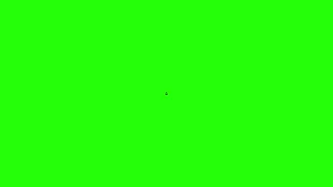 Female Avatar Icon Stock Footage 342778295