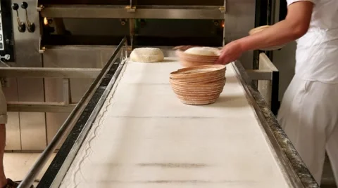 Female baker preparing Ball dough in the kitchen of the bakery Stock Footage 64471062