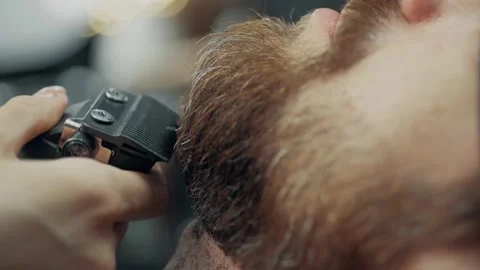 Female Barber Trimming Client Beard in Salon Stock-Footage 340069166
