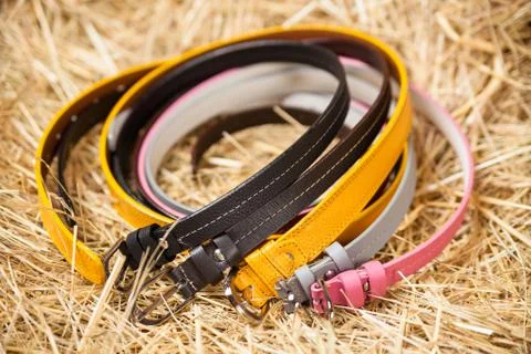 Female belts closeup Stock Photos