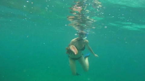 Female in Bikini with Conch Shell Underwater Stock Footage 7902774
